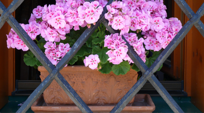 Solitary Confinement