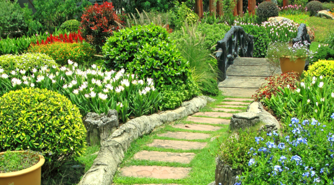 As Time Goes By – The Mystery of Aging